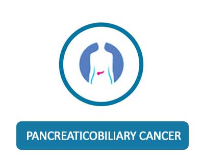 Pancreatic Cancer Icon